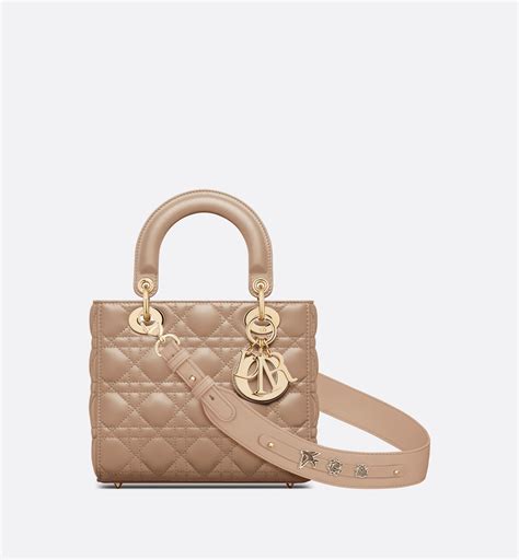 dior bag lady small